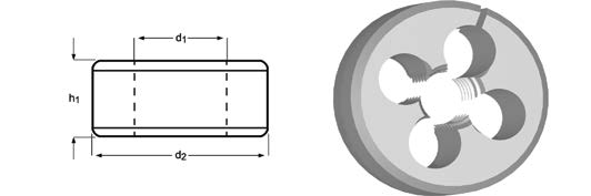ɵڵİ